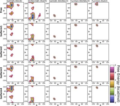 Comparative Structural Dynamics of Isoforms of Helicobacter pylori Adhesin BabA Bound to Lewis b Hexasaccharide via Multiple Replica Molecular Dynamics Simulations